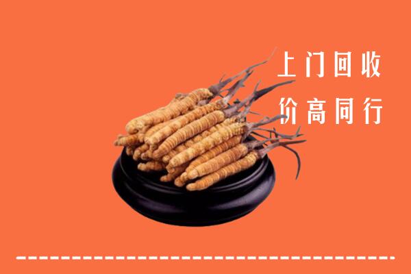 高价求购：普兰店区回收散虫草