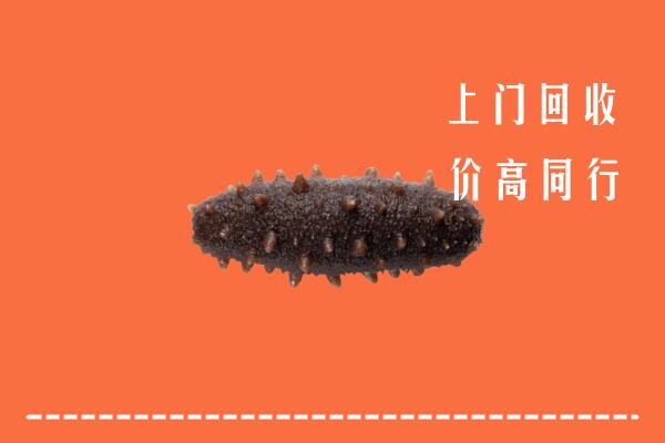 普兰店区回收海参